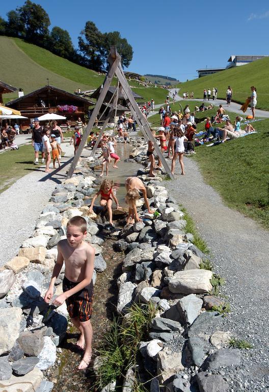 Gasthof Pension Lanzenhof Going am Wilden Kaiser エクステリア 写真